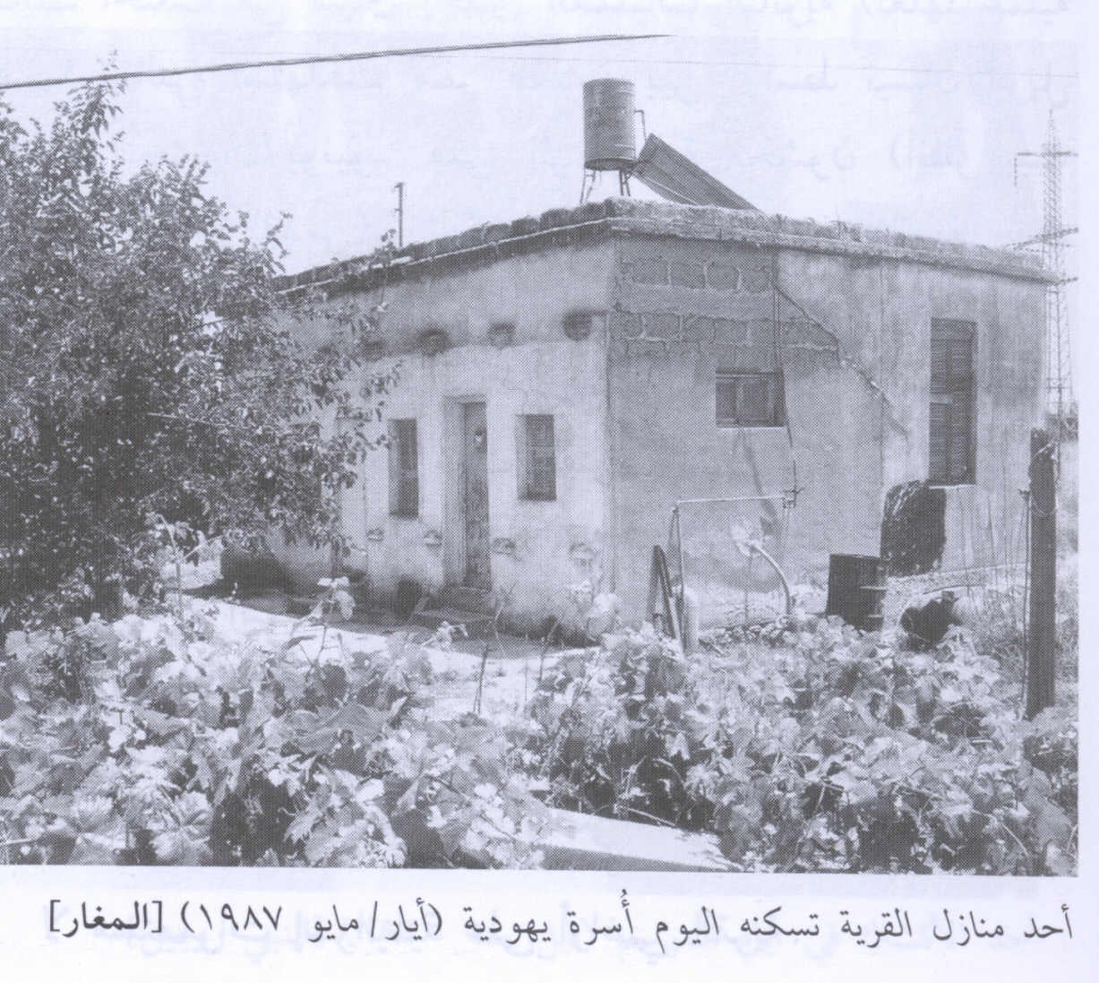 صورة لقرية المغار - فلسطين: : بيت مغتصبة في القرية، 1987